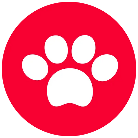 Pet Shop - Zona da Economia